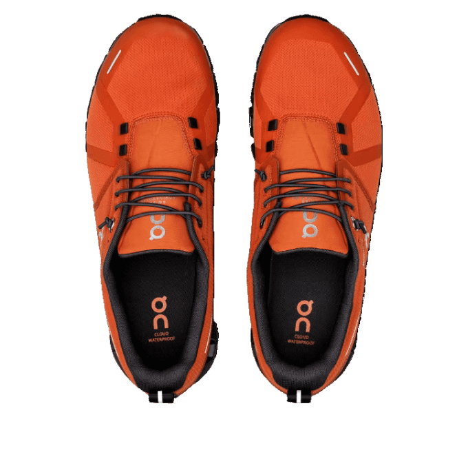 Cloud 5 Impermeable «Llama»