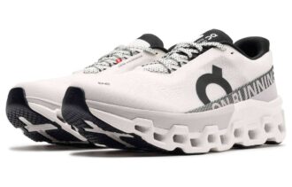 Cloudmonster 2 «Crudo Escarcha»